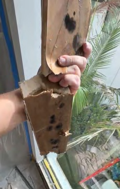 Industrial dehumidifiers and tarp deployed in child's room